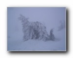 brocken (12) Eisformationen